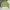 Vintage Streetwear Denim jacket Wanita green photo 6