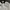 Beanpole Minimalist Casual Polo shirt Pria white black photo 2