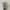 On Running Sportswear Sneakers Pria white black photo 5
