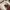 Nike Air Jordan Streetwear Casual Sneakers Pria burgundy photo 7