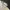 New Balance Casual Casual shoe Pria white photo 1