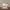 Yeezy Streetwear Y2K Sneakers Pria white photo 5