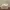 Yeezy Streetwear Y2K Sneakers Pria White