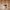 MCM Luxury Casual Tas dompet Wanita brown black photo 6