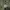 National Geographic Luxury Bag Pria green photo 2