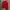 The North Face Gorpcore Windbreaker Pria red photo 2