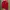 The North Face Gorpcore Windbreaker Pria Red