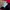 The North Face Gorpcore Windbreaker Pria red photo 5
