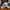 Nike Streetwear Minimalist Sneakers Pria white gray photo 1