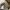 Nike Streetwear Minimalist Sneakers Pria white gray photo 5
