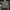 Carhartt Casual Sweater Pria green photo 1