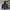 SOPHNET. Streetwear Casual Windbreaker Pria Navy
