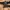 Gramicci Streetwear Y2K Casual pants Pria tan brown photo 1