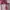 Luxury Tas dompet Wanita pink photo 2