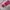 Luxury Tas dompet Wanita pink photo 3