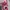 Luxury Tas dompet Wanita pink photo 6