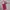 Luxury Tas dompet Wanita pink photo 7