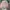 Minimalist Hat Kids pink gray photo 4