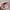 Minimalist Hat Kids pink gray photo 3