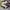 AMIRI Luxury Futurist Sneakers Pria white brown photo 5