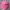 Fairy Hat Kids pink yellow photo 3