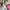 Y2K Wanita pink black photo 1