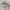 Jil Sander Luxury Avant Garde Blouse Wanita cream photo 3