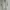Jil Sander Luxury Avant Garde Blouse Wanita cream photo 1