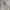Jil Sander Luxury Avant Garde Blouse Wanita cream photo 2