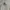Jil Sander Luxury Avant Garde Blouse Wanita Cream