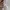 Jil Sander Luxury Avant Garde Blouse Wanita cream photo 6