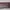 Luxury Handbag Wanita burgundy photo 1