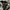 Nicole Club for Men Grunge Emo Fleece Pria gray photo 7