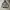 Nicole Club for Men Grunge Emo Fleece Pria gray photo 3