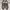 VANS Streetwear Skater Sneakers Pria black photo 3