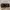 VANS Streetwear Skater Sneakers Pria black photo 4