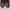 VANS Streetwear Skater Sneakers Pria black photo 7