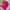 Casual Sweatshirt Wanita pink photo 5