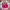Casual Sweatshirt Wanita pink photo 1