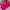 Casual Sweatshirt Wanita pink photo 3