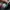Adidas Casual Casual shoe Pria multicolor photo 6