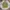 Casual Sweatshirt Wanita green photo 1