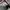 Onitsuka Tiger Casual Sneakers Wanita white pink photo 6