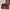 Puma Streetwear Casual Sneakers Pria red black photo 1