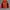 Lafuma Gorpcore Track jacket Pria orange photo 3