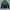 Sportswear Pakaian Nasional Windbreaker Pria multicolor photo 1