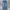 H&M Streetwear Skater Jeans Pria Navy