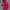 K2 Gorpcore Track jacket Wanita pink photo 1