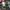 VANS Skater Hat Pria green photo 3