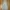 ELLE Coquette Casual Casual dress Wanita gray photo 1